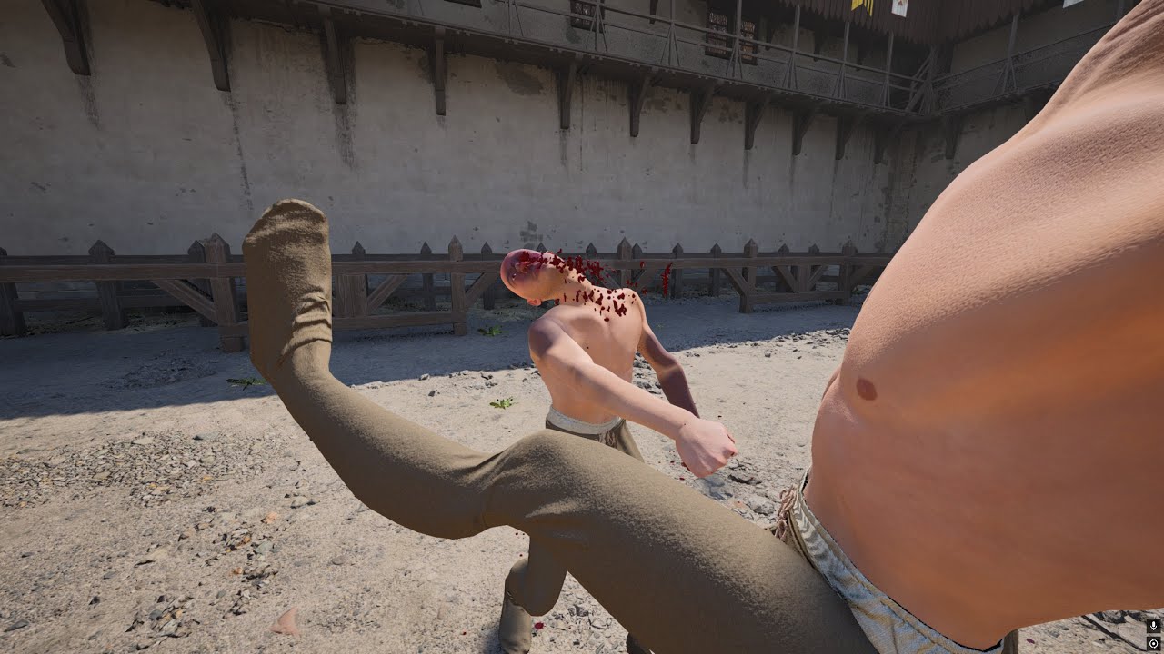 Spin kick 23/Half Sword