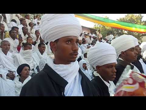 ቪዲዮ: በ1765 የቴምብር ህግ ኮንግረስ ወቅት?