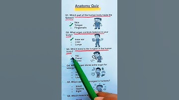 Anatomy Quiz-How many can you ace 7/7?🇬🇧 Comment your score below. ✍️👇 #quiz #anatomy #quiztime