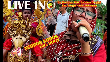 NGOBOR KODOK - HESTY || PUTRA SURTI MUDA ( PSM ) || 19 OKT 2021 BLOK DONGKAL DS.KERTAJAYA - BONGAS