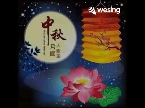 对不起全是我错