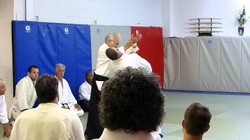 Takeguchi Shihan at Allegheny Aikikai, June 28th 2014 - 07