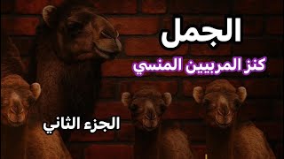 ليه مشروع الجمال هو أكتر مشروع مظلوم ومربح في نفس الوقت ؟ | الحقيقة الكاملة اللي المربين ما يعرفوهاش