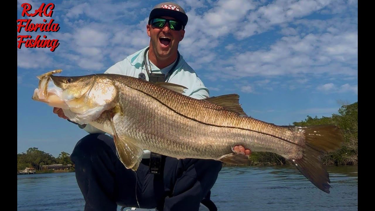 Самый большой снук, пойманный на искусственный приманку на YouTube!!! Вот как я его поймал!!