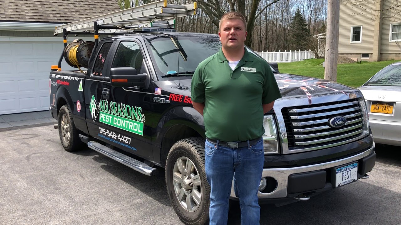 All Season Pest Control Ant Prevention Services YouTube