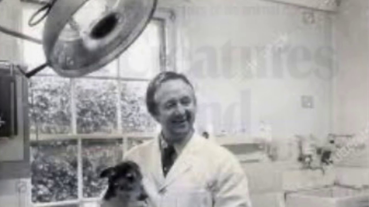 character sketch of dr james herriot character sketch of dr james herriot