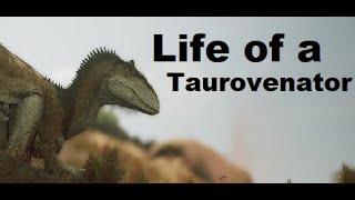 Life of a Taurovenator