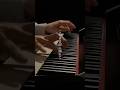 一番好きなボカロ曲「だれかの心臓になれたなら」/ユリイ・カノンを弾いてみた。#ピアノ #piano #だれかの心臓になれたなら #fyp