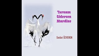 Turnam Gidersen Mardine - Sedat Özveren Ürkü Ürküler Ürkülerimiz