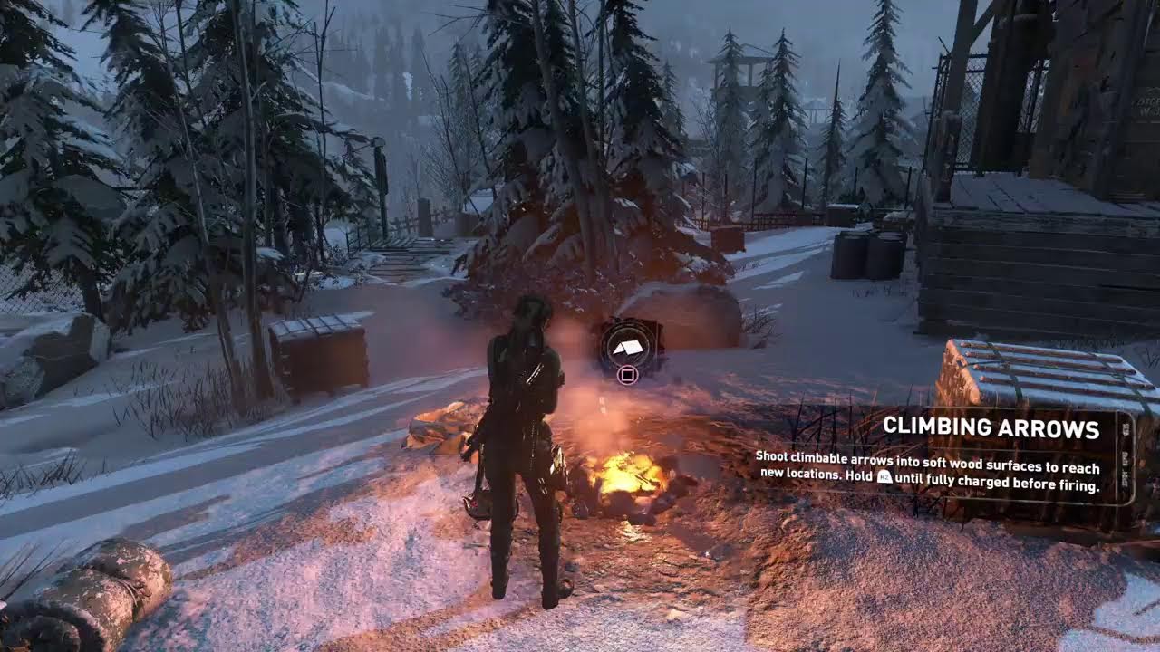 Rise Of The Tomb Raider DE