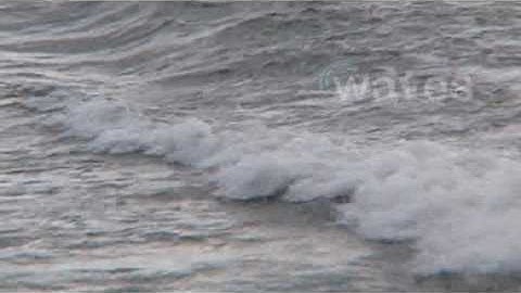 CSSC Holdings, Chinas largest Shipbuilding group for a new shipyard under construction in Guangdong.