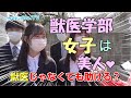 【wakatte】獣医学部の美女まとめ