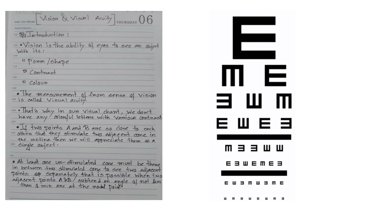 Vision and Visual acuity