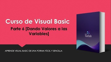 #06 | Curso Visual Basic | Dando valores a las variables