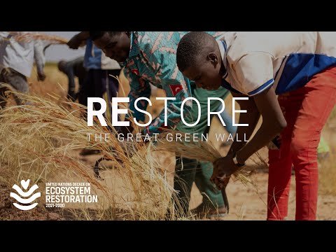 How Africa’s Sahel region tackles conflict, poverty with restoration