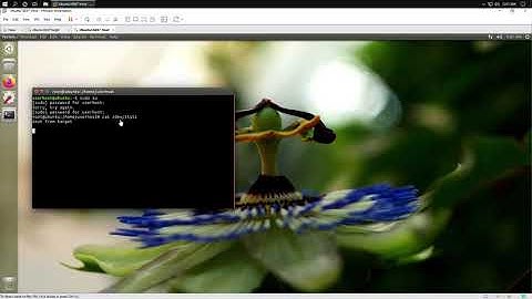 Linux Kernel - KGDB tutorial (1/4) - Serial port communication