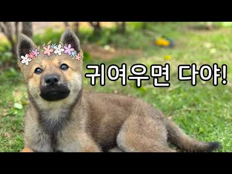 외동 딸로 사랑 듬뿍 받게 된 일박이