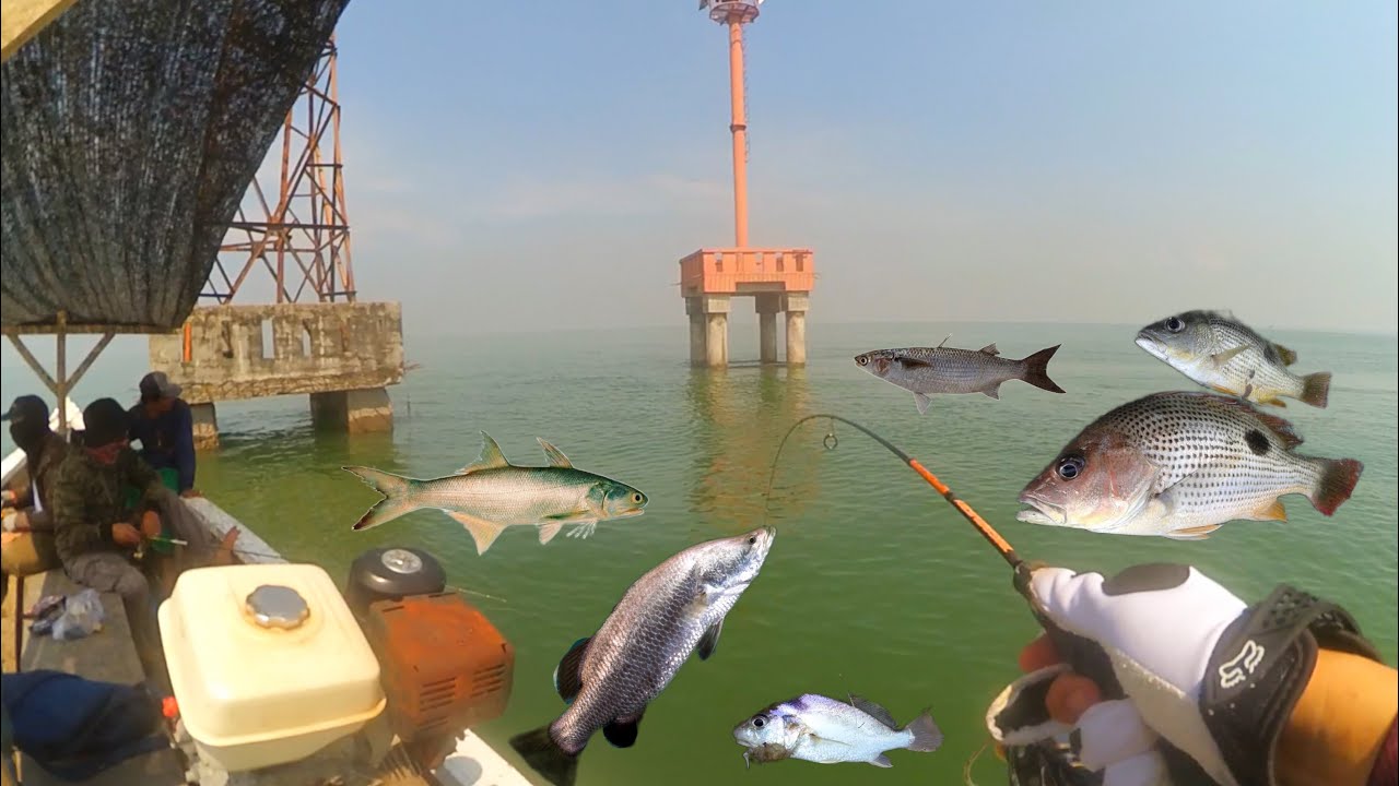 REKOMENDASI - HANYA 80K , SUDAH BISA MANCING LAUT , DI ATAS PERAHU SIDOARJO - wisata samudra biru