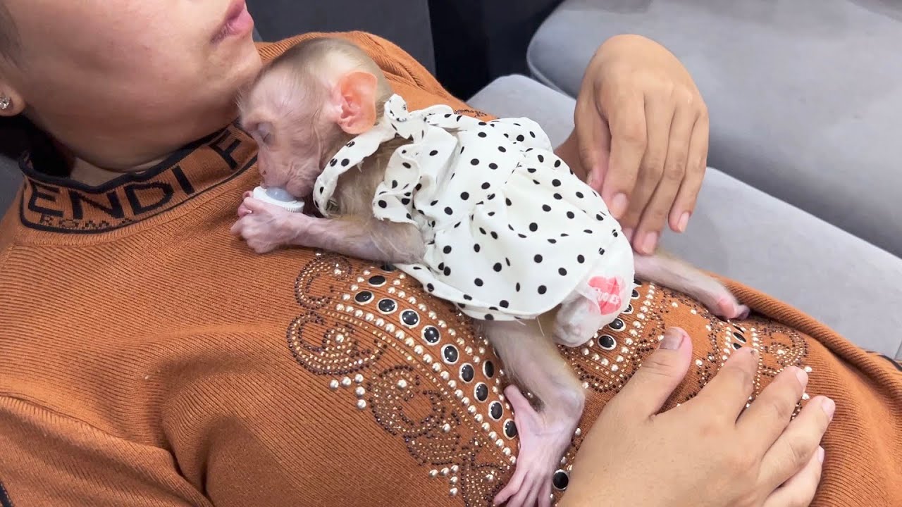 JOYEE In Polka Dot Very C0mfy Sleep Sck Her Tiniest Pacifier