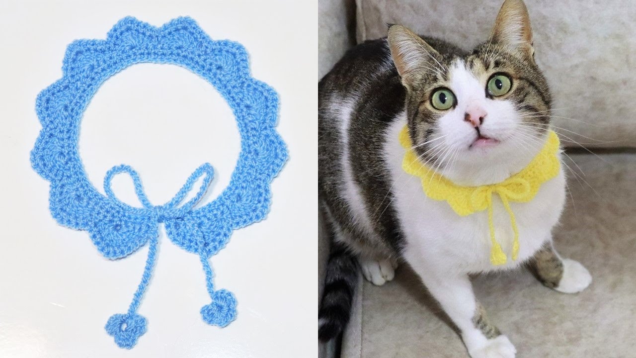 ♡ Collar a Crochet para Gatos🐈 Muy Fácil de Tejer-TUTORIAL Paso a Paso😻 Handmade Diy🐈 Parte 3