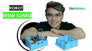 Robot Mini Sumo - Visión Artificial