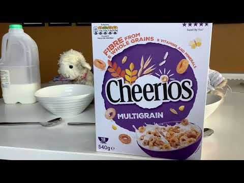 Stop Motion - teddies day out