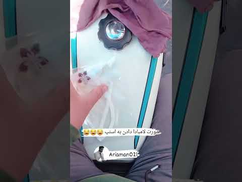 شورت لامبادا رو دادن اسنپ ببره در خونه
