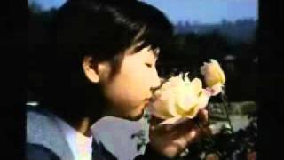 OBS ID(2007년)