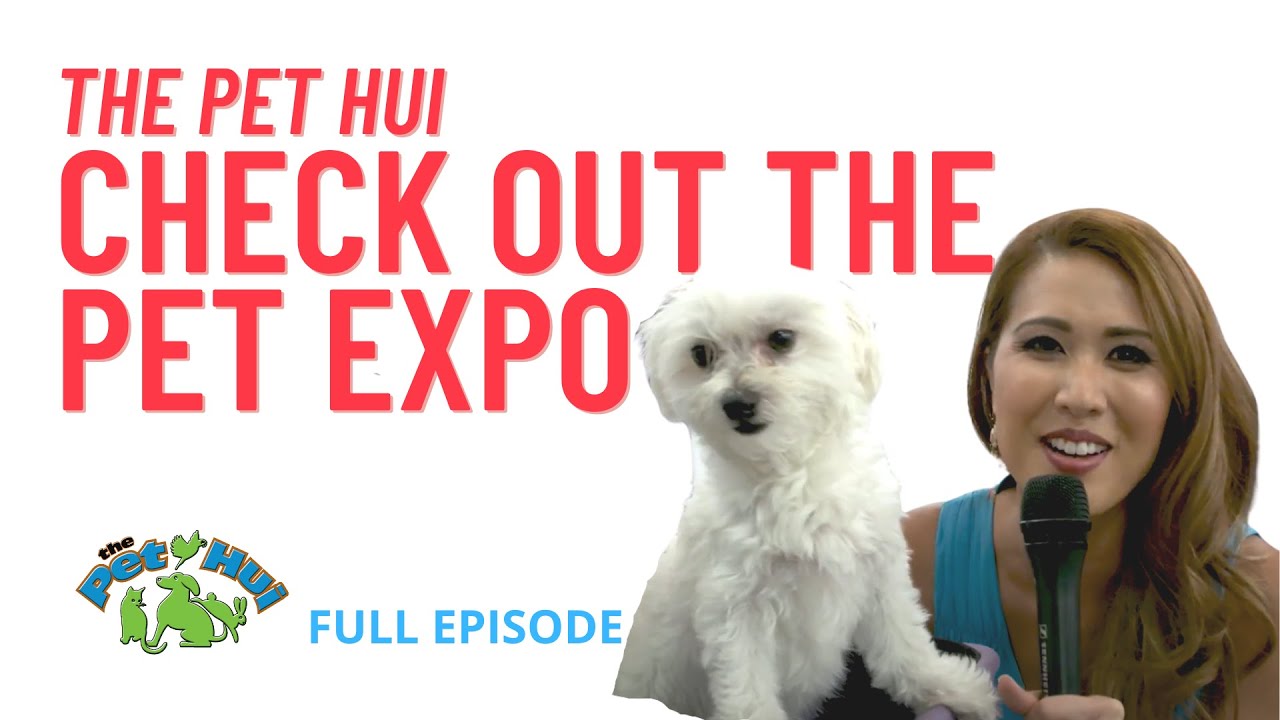 The Pet Hui May 26, 2019 Full Episode