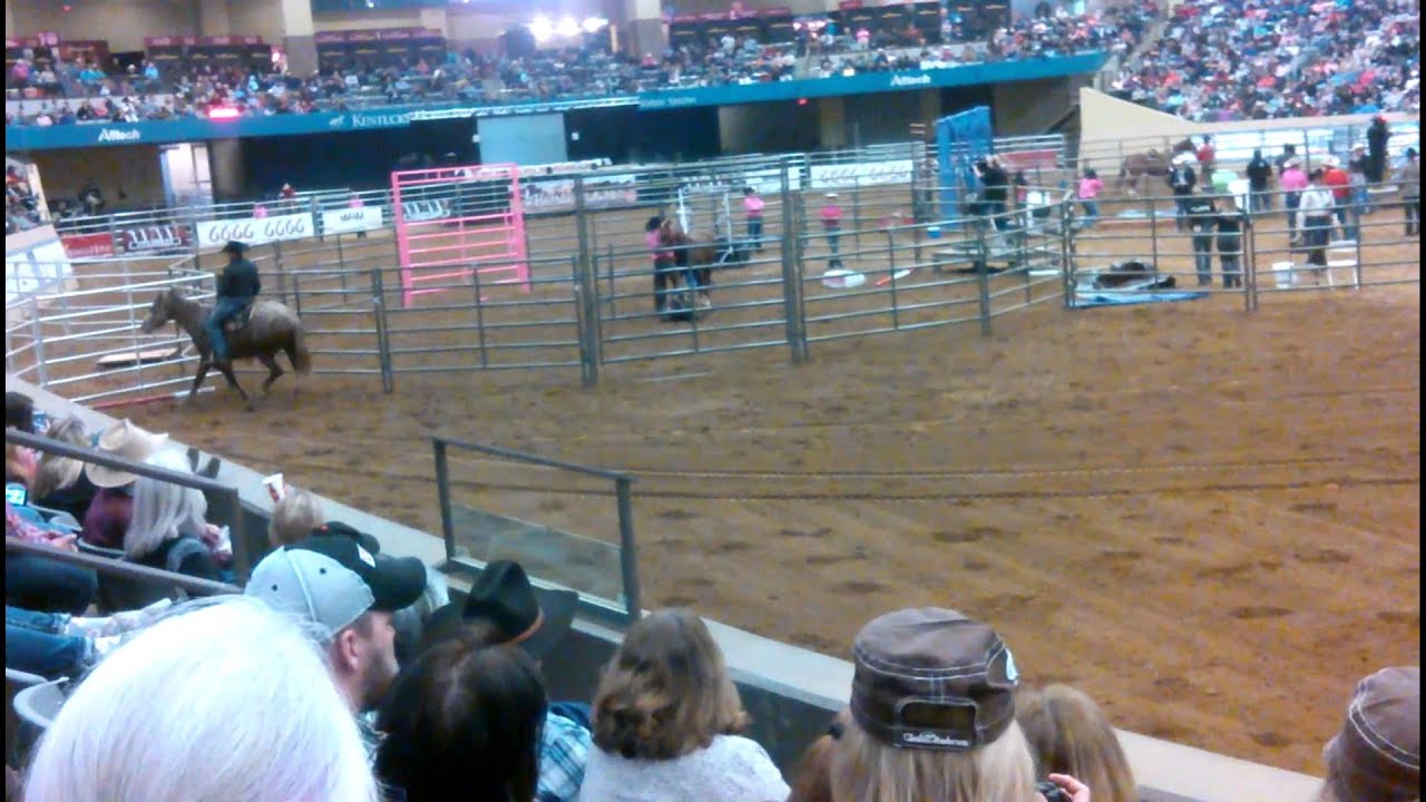 Clinton Anderson Road to the Horse 2016 YouTube