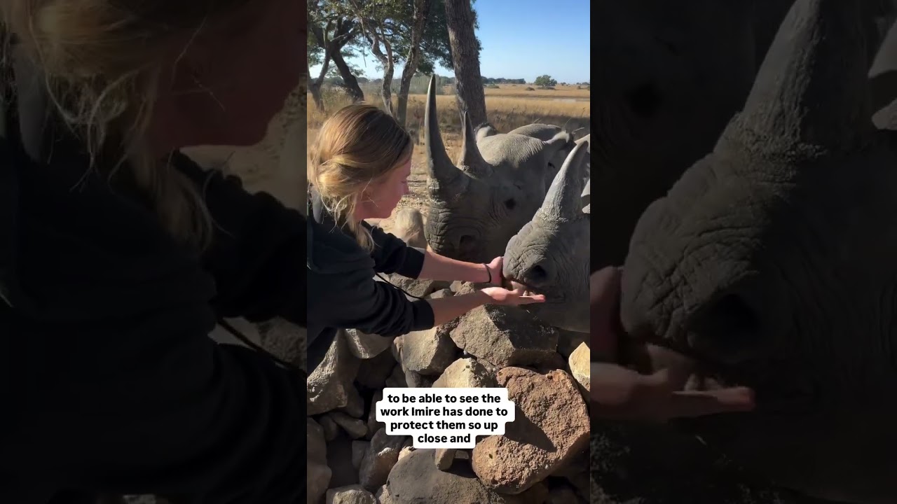 Horse Riding in Africa