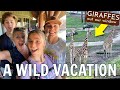 Taking Katie's Boyfriend On Our WILD Disney Vacation | Animal Kingdom Lodge Hotel Room Tour