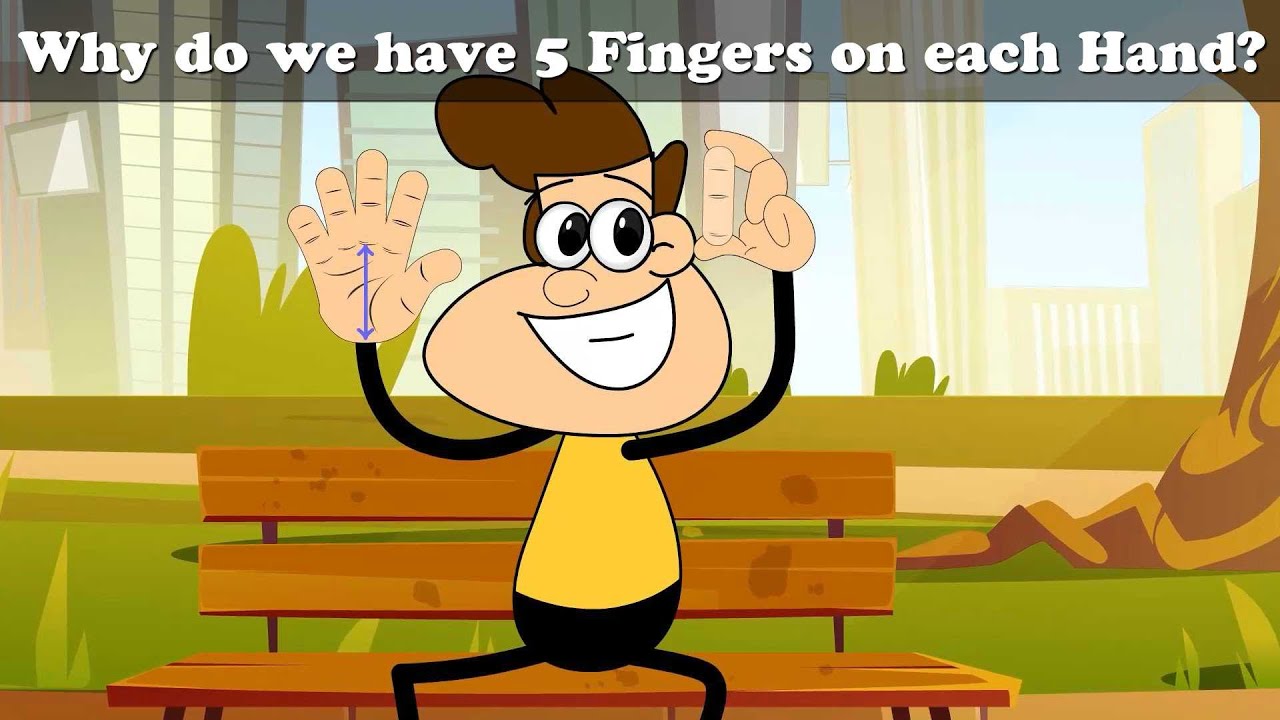 Why do we have 5 Fingers on each Hand? + more videos | #chumpum #kids # ...