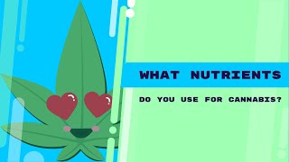 Grow Like a Pro: Essential Nutrients for Optimal Cannabis Cultivation