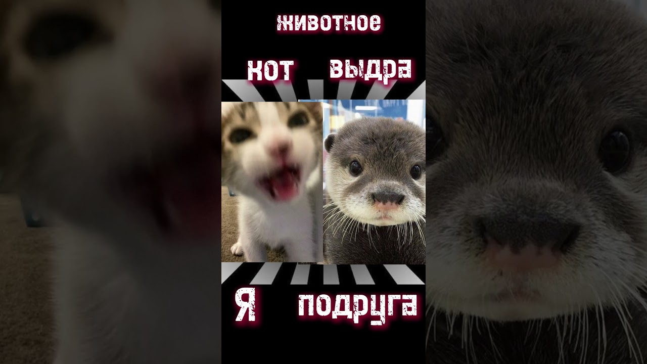 старый тренд 