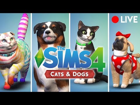 Les Sims 4 Chien Et Chat