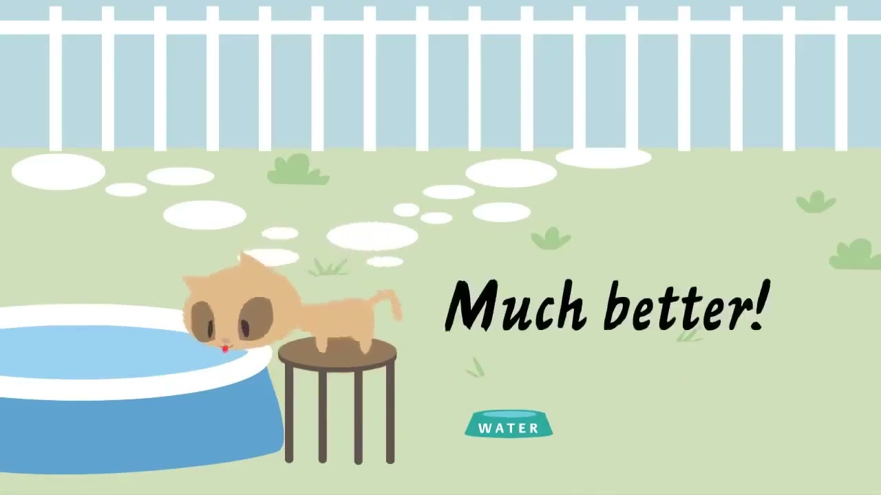 Cats and water