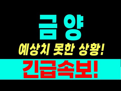 [금양 주가전망] 예상치 못한상황! 긴급속보! 차트분석! 실시간대응!