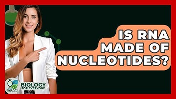 Is RNA Made of Nucleotides? - Biology For Everyone