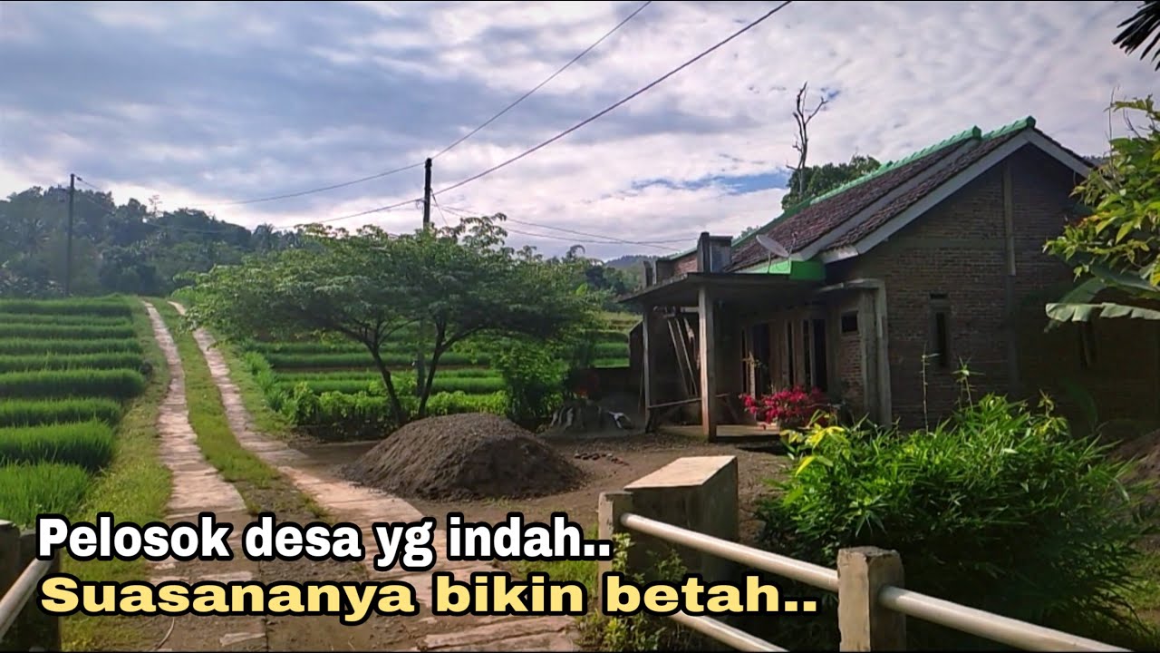 Pelosok desa yg indah, Suasananya bikin betah || Kp,Kalipacet, Mandiraja, Banjarnegara, Jawa Tengah.