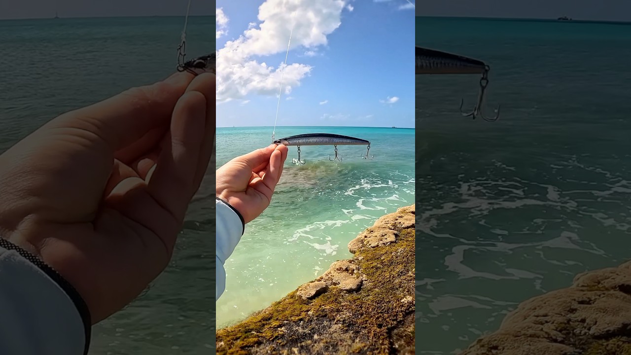 DUO TIDE MINNOW LANCE 140S 