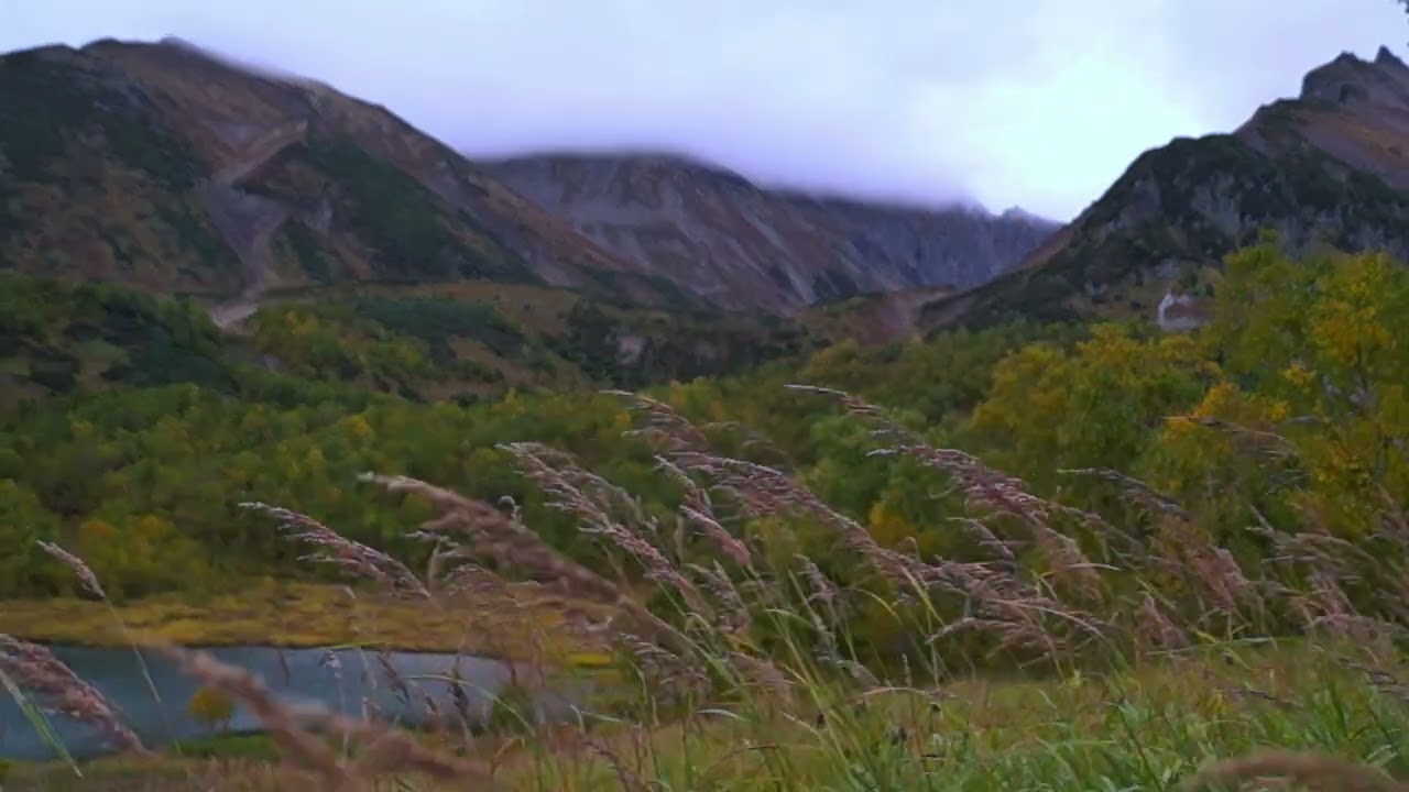 5 Minute Mountain Breeze & Grass Rustle – Real Wind in Alpine Wilderness
