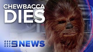 Star Wars Actor Peter Mayhew Dies Nine News Australia