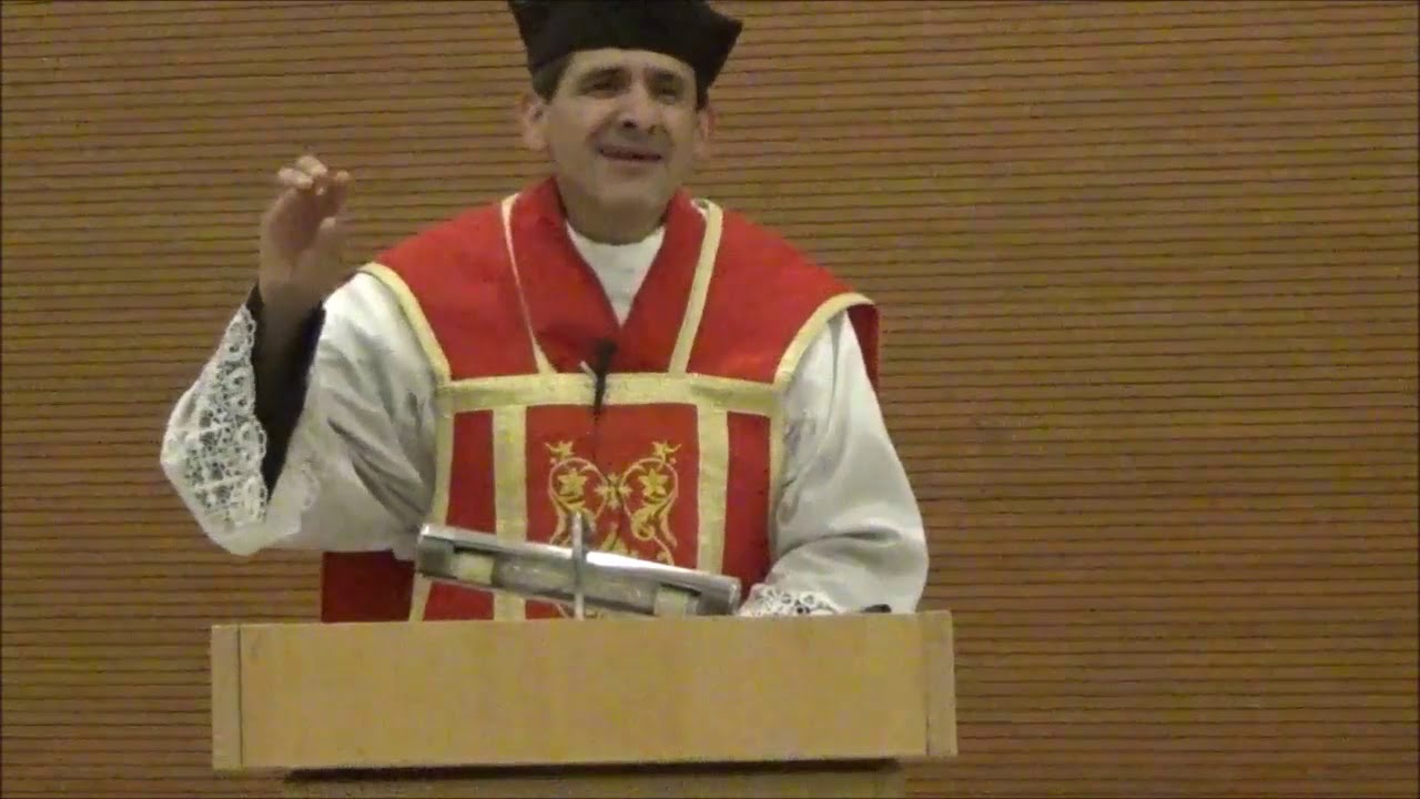 Los frutos espirituales de la Santa Misa - Homilía del Padre Michael ...