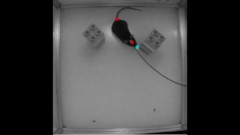 temp02082018 112203 img GV16 SOR 1 tif #2