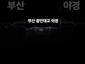 부산 광안대교 야경 #shorts #shortvideo