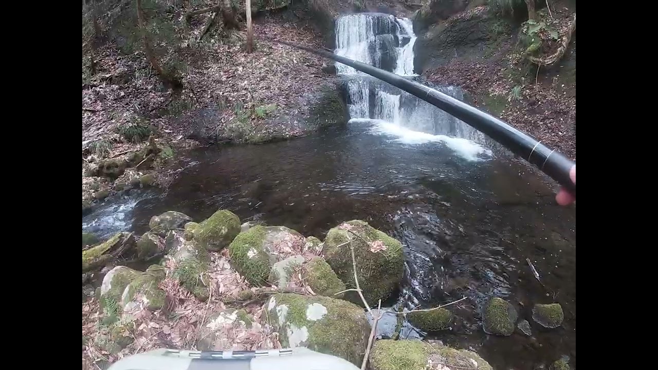 【岩手渓流釣り】解禁初期は沢や砂防下深場を狙え