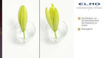 ELMO MX-1 | 4K Dokumentenkamera zum Einsatz am PC