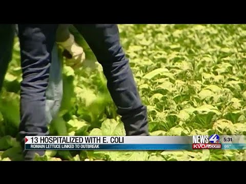 UA experts weigh in on E. coli outbreak and how they grow lettuce