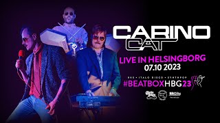 Carino Cat | Live at #BEATBOXHBG23 (Official Video)